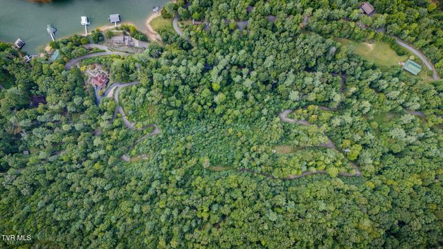 Tbd Cove Ridge Road, Butler, TN 37640