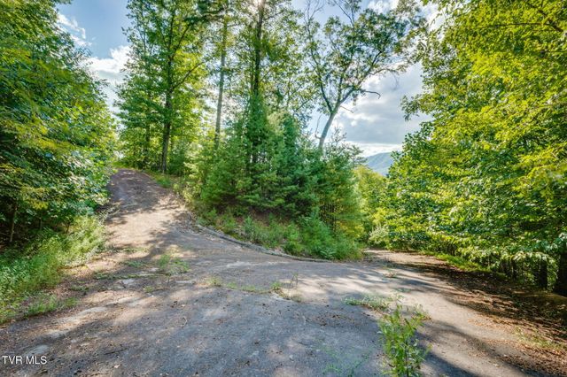 Tbd Cove Ridge Road, Butler, TN 37640