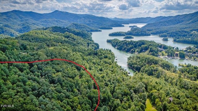 Tbd Cove Ridge Road, Butler, TN 37640