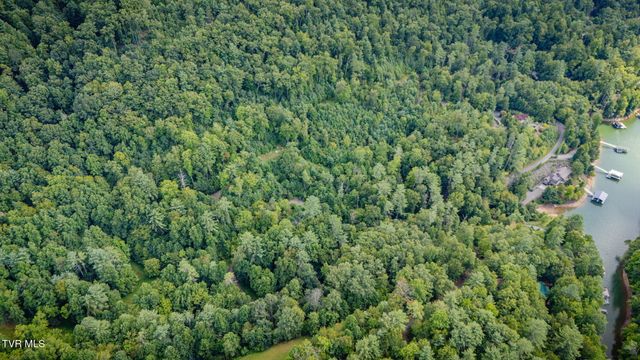 Tbd Cove Ridge Road, Butler, TN 37640