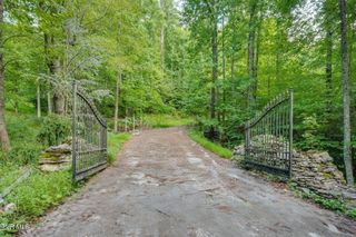 Tbd Cove Ridge Road, Butler, TN 37640
