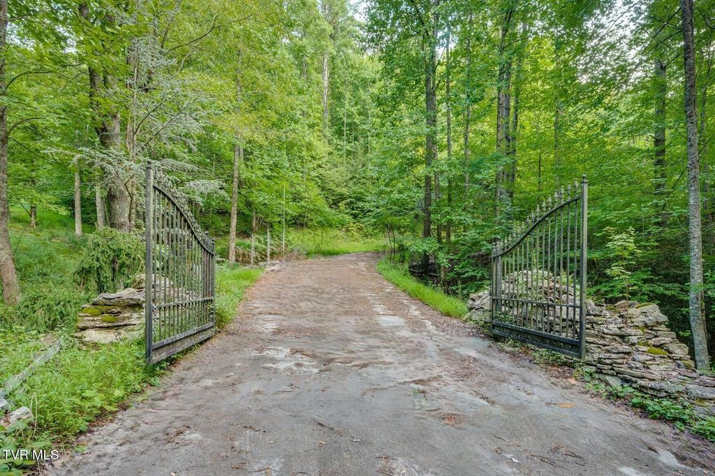Tbd Cove Ridge Road, Butler, TN 37640