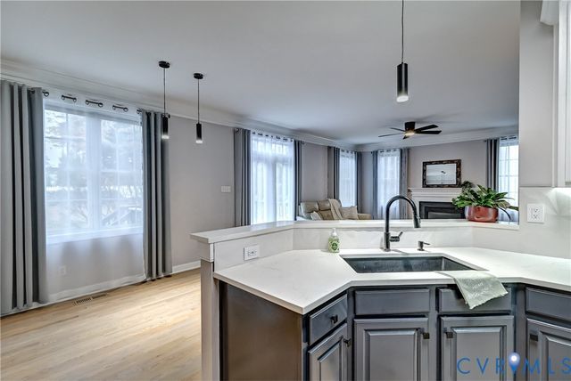 16024 Hampton Meadows Ct, Moseley, VA 23832