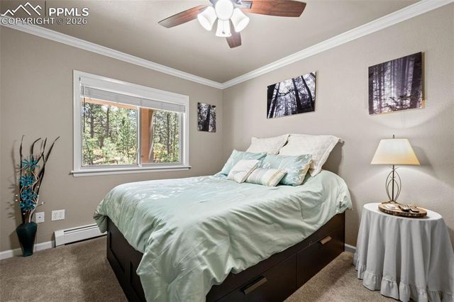 7524 Engineers Court, Larkspur, CO 80118