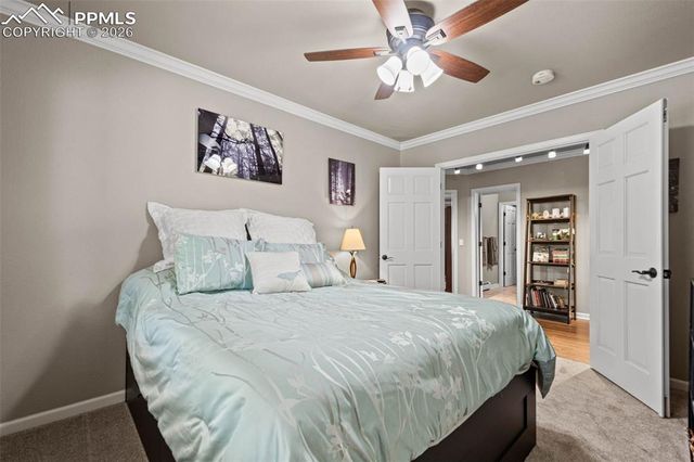 7524 Engineers Court, Larkspur, CO 80118