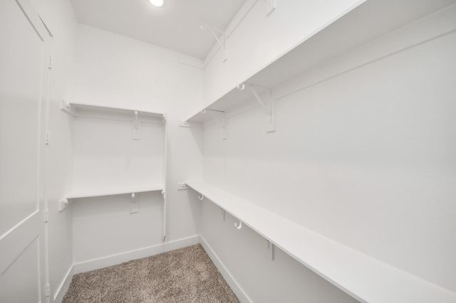 9519 Chateau Hill, Manvel, TX 77578