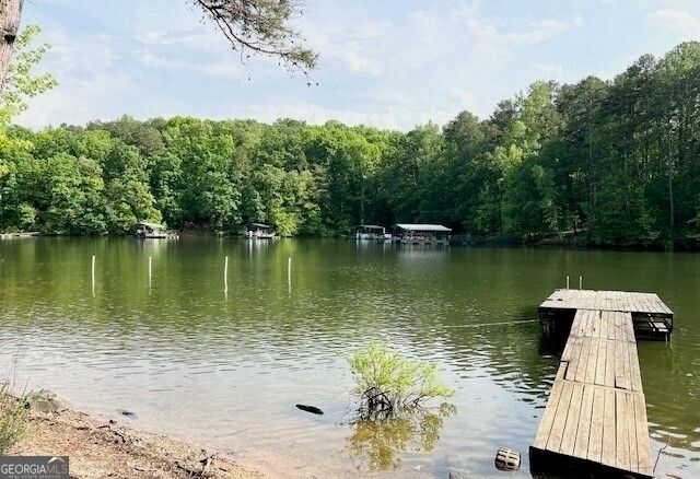 137 Cheyenne Trail, Martin, GA 30557