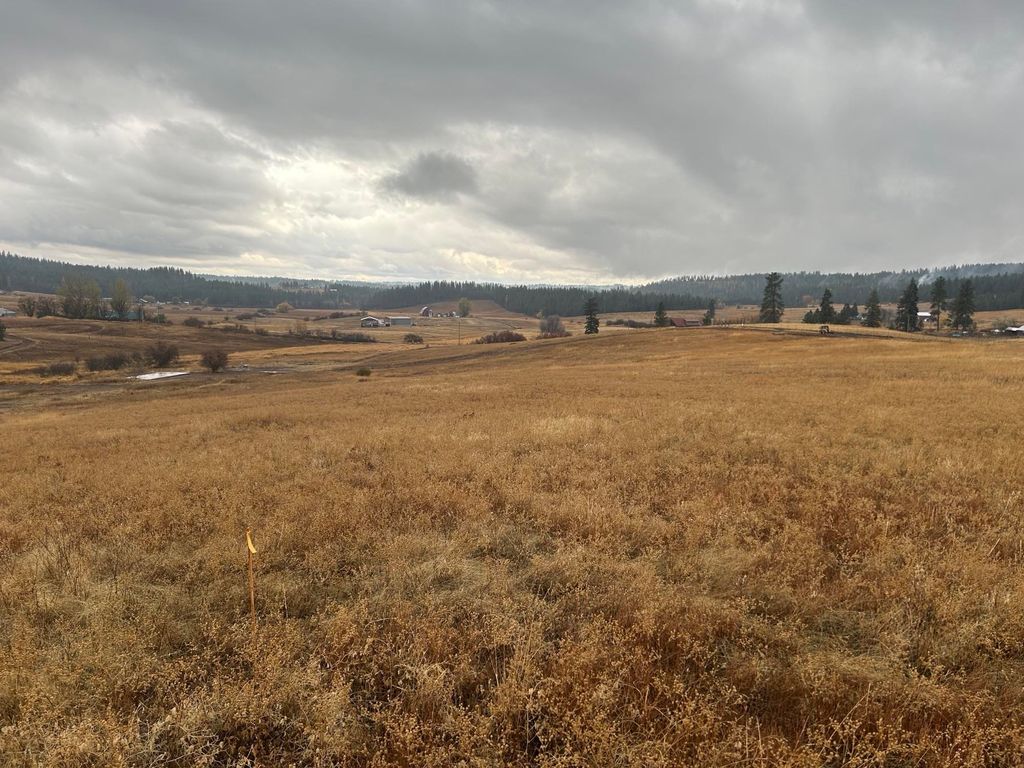 11707 E Tallman Rd, Chattaroy, WA 99003 photo 4