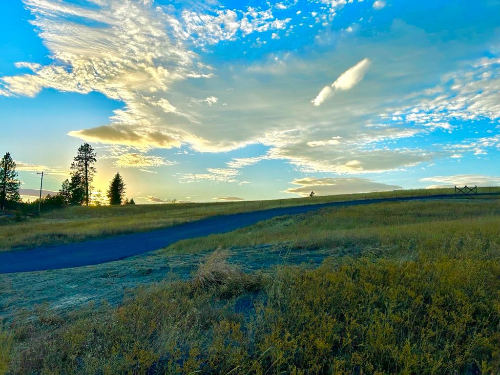 11707 E Tallman Rd, Chattaroy, WA 99003 photo 5