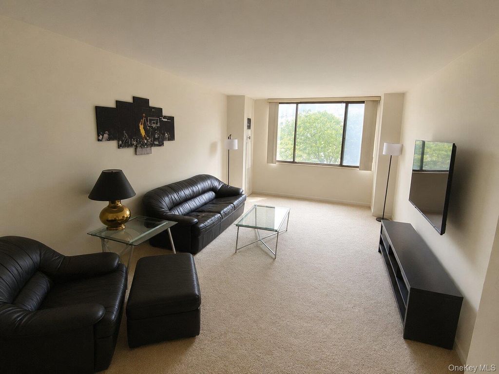 26910 Grand Central Parkway 4M, Floral Park, NY 11005 — photo 4