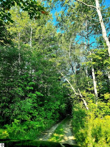0 State Road, Kalkaska, MI 49646