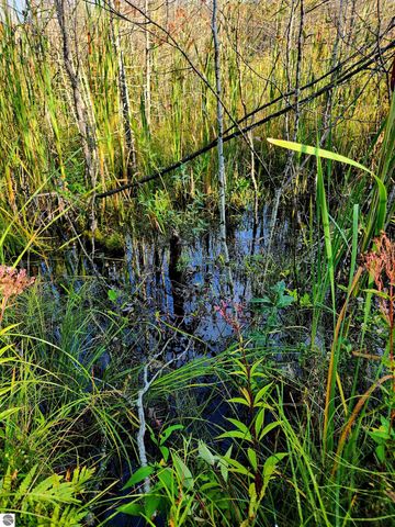 0 State Road, Kalkaska, MI 49646