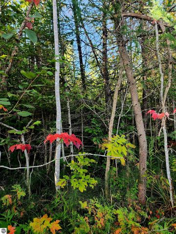 0 State Road, Kalkaska, MI 49646