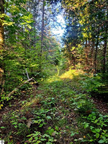 0 State Road, Kalkaska, MI 49646