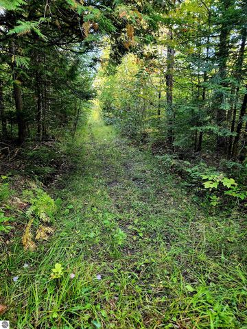 0 State Road, Kalkaska, MI 49646