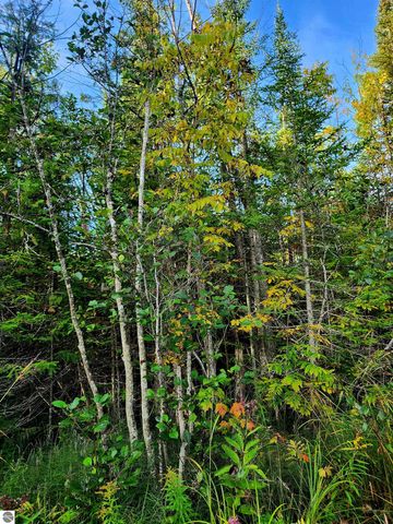 0 State Road, Kalkaska, MI 49646