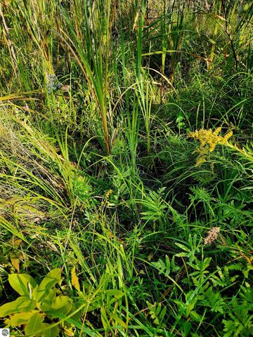 0 State Road, Kalkaska, MI 49646