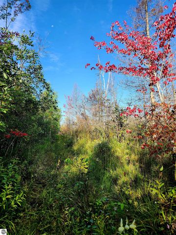 0 State Road, Kalkaska, MI 49646