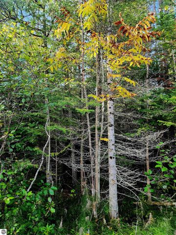 0 State Road, Kalkaska, MI 49646