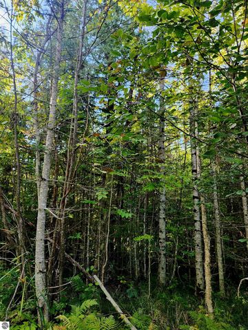 0 State Road, Kalkaska, MI 49646