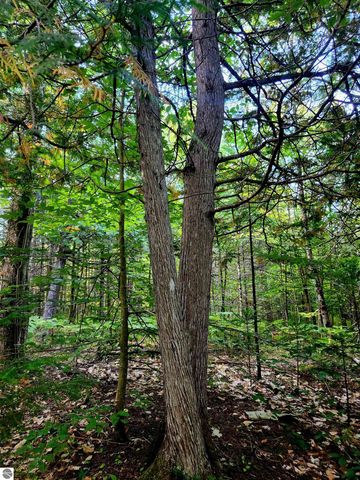 0 State Road, Kalkaska, MI 49646