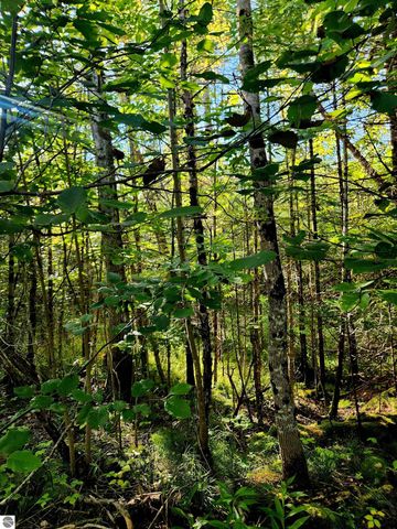 0 State Road, Kalkaska, MI 49646