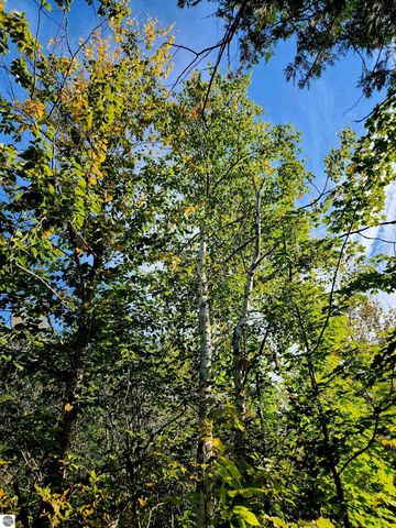 0 State Road, Kalkaska, MI 49646