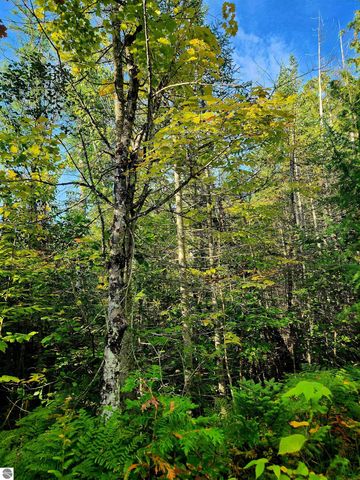 0 State Road, Kalkaska, MI 49646