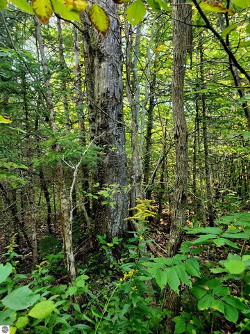 0 State Road, Kalkaska, MI 49646