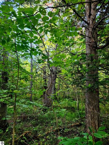 0 State Road, Kalkaska, MI 49646