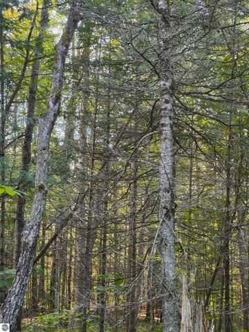 0 State Road, Kalkaska, MI 49646