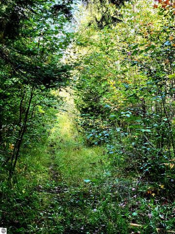 0 State Road, Kalkaska, MI 49646