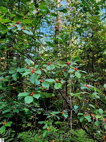 0 State Road, Kalkaska, MI 49646