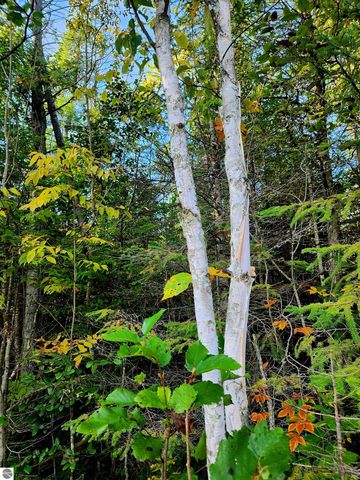 0 State Road, Kalkaska, MI 49646