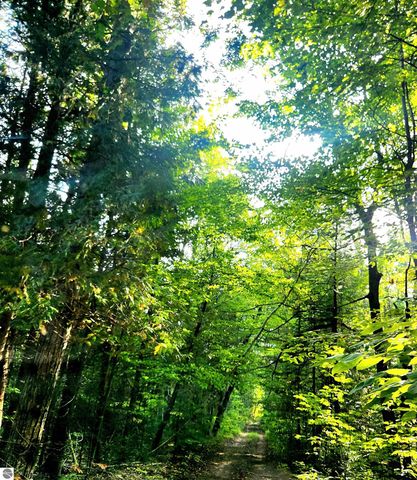0 State Road, Kalkaska, MI 49646