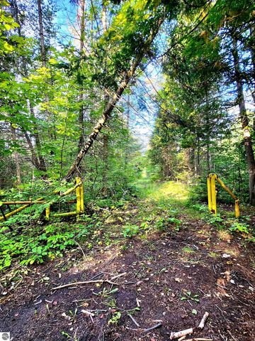 0 State Road, Kalkaska, MI 49646