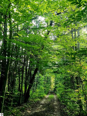 0 State Road, Kalkaska, MI 49646