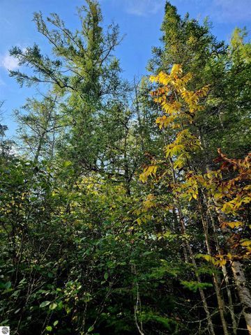 0 State Road, Kalkaska, MI 49646