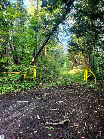 0 State Road, Kalkaska, MI 49646