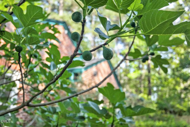 225 W Woodridge Drive, Durham, NC 27707