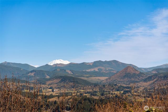 18414 NE 391st Street, Amboy, WA 98601