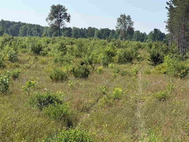 Parcel A1 E Kasson Road, Kasson Twp, MI 49664