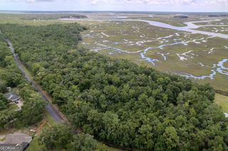 0 Sheffield Island Road 4, Woodbine, GA 31569