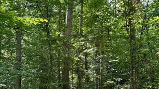 5 Reynolds Road, Coal City, IN 47427