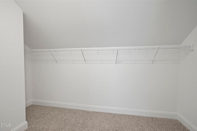 262 Day Lily Street, Selma, NC 27576