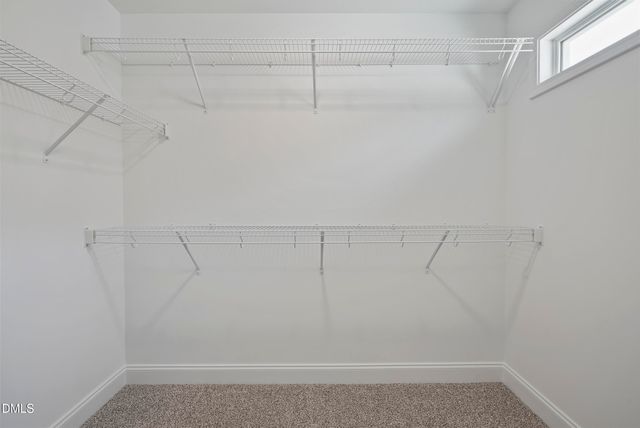 262 Day Lily Street, Selma, NC 27576