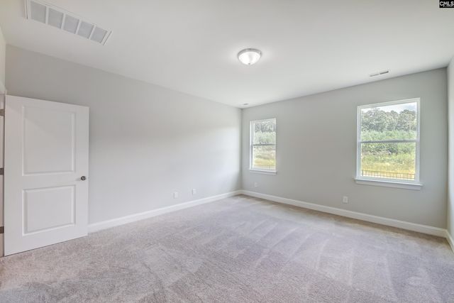 40 Honey Crisp Court, Elgin, SC 29045