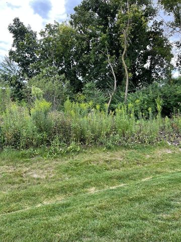 1173 Sonoma Court, Pingree Grove, IL 60140