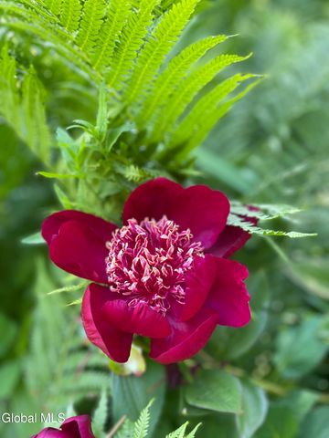 136 Main Street, Schoharie, NY 12157