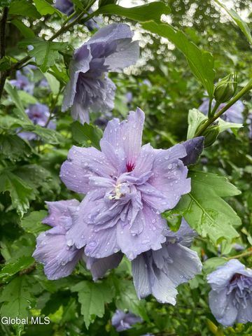 136 Main Street, Schoharie, NY 12157